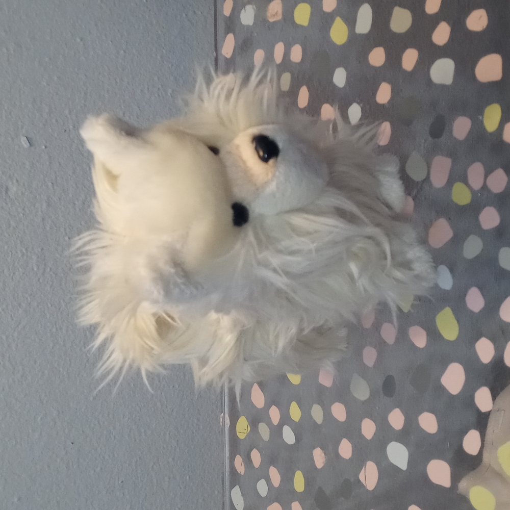 American Girl Little White Dog - Picture 1 of 6